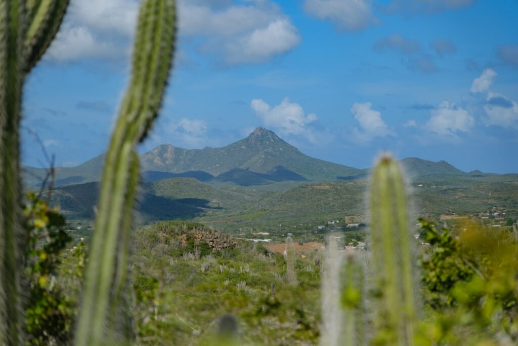 260110-DerekOlbino14