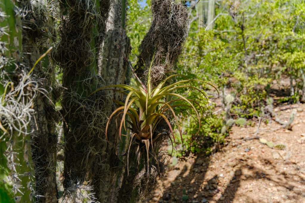 260110-DerekOlbino17