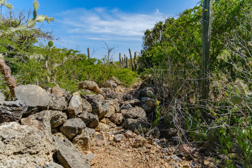 260110-DerekOlbino19