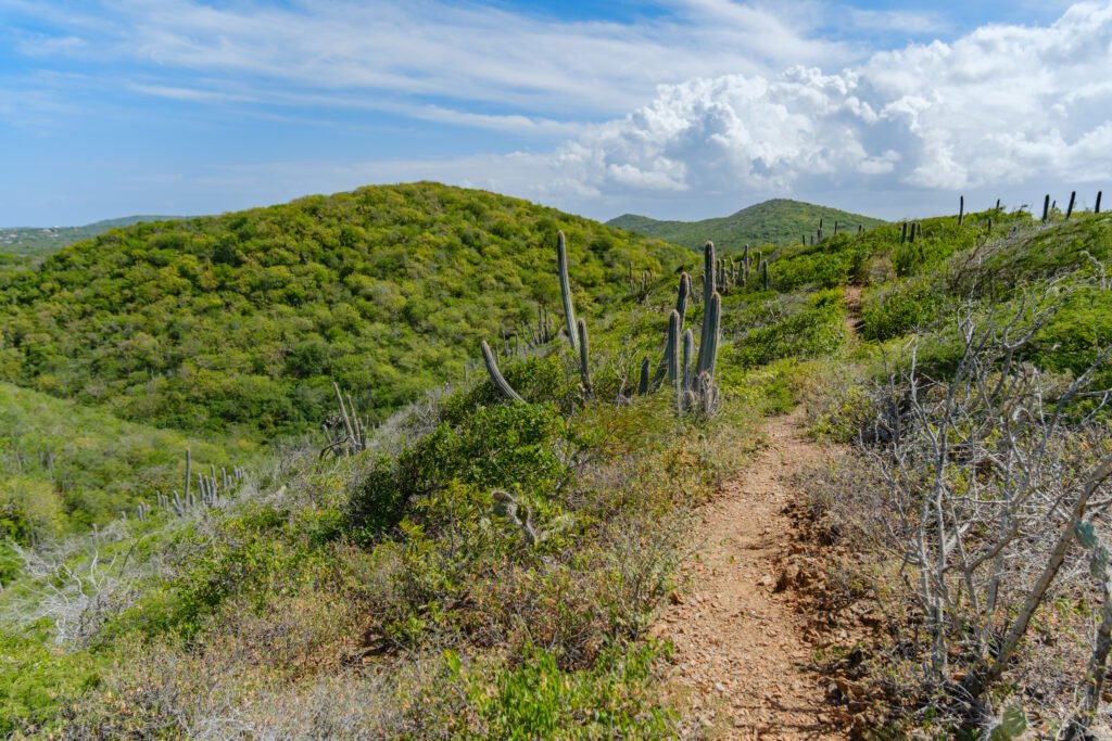 260110-DerekOlbino20