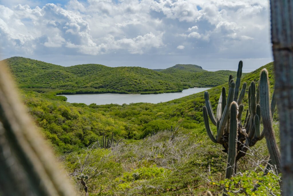 260110-DerekOlbino22