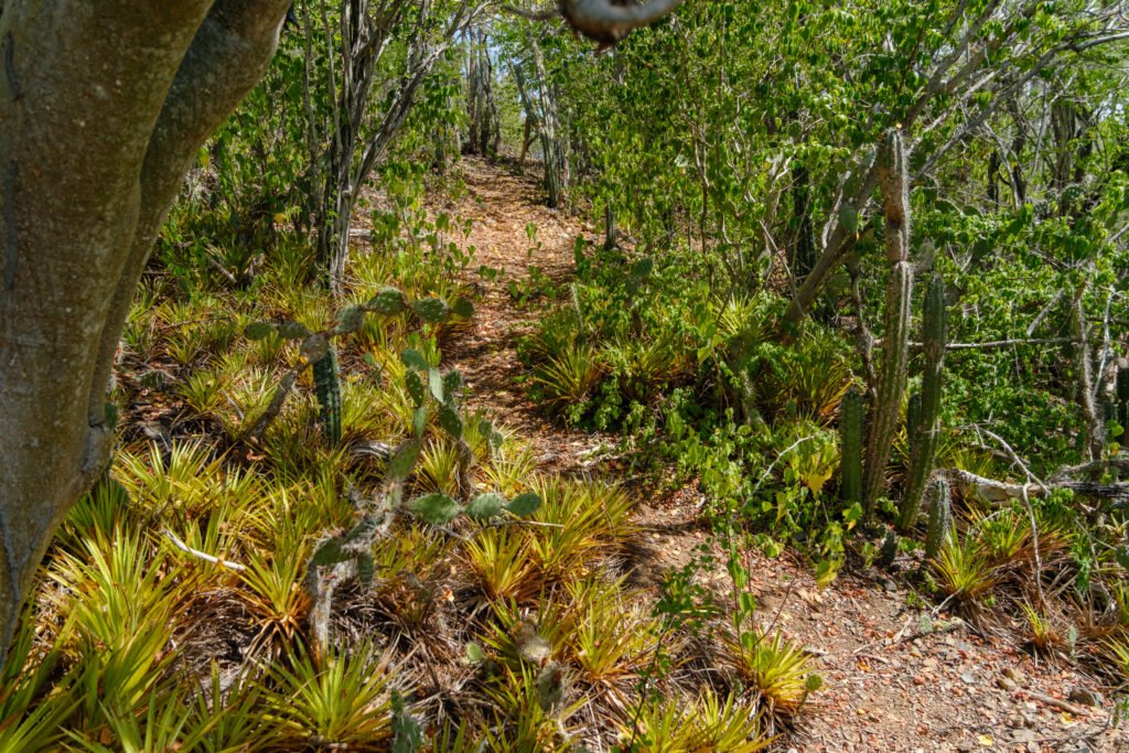 260110-DerekOlbino26