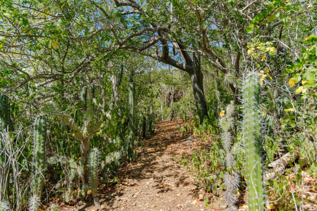 260110-DerekOlbino27