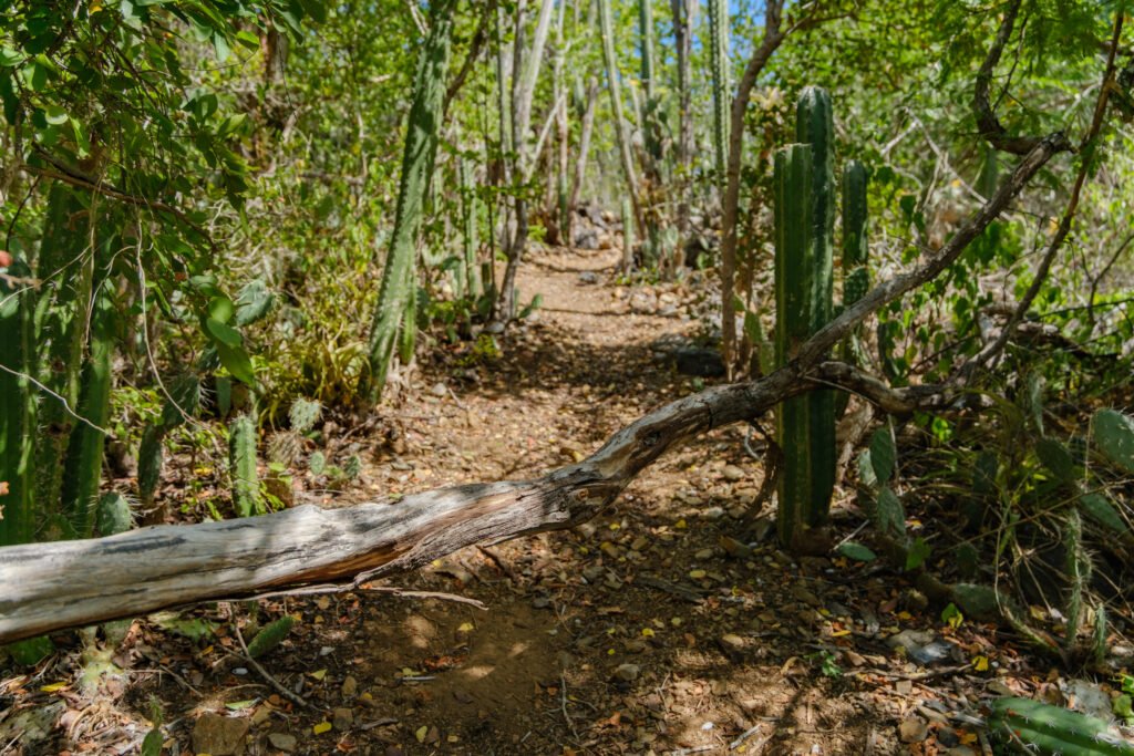 260110-DerekOlbino30