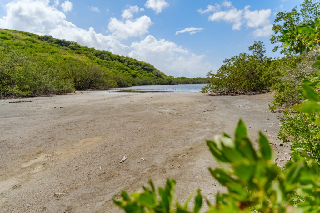 260110-DerekOlbino39