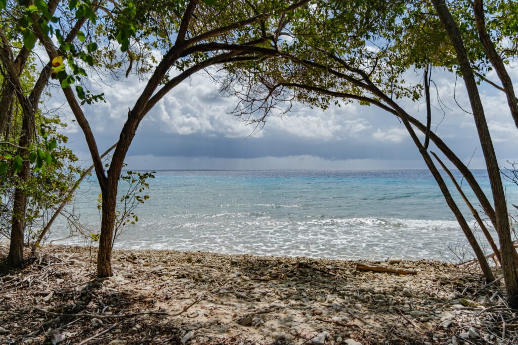 260110-DerekOlbino41