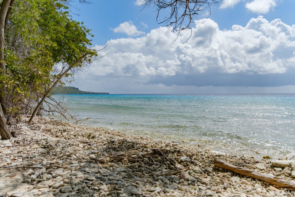 260110-DerekOlbino42