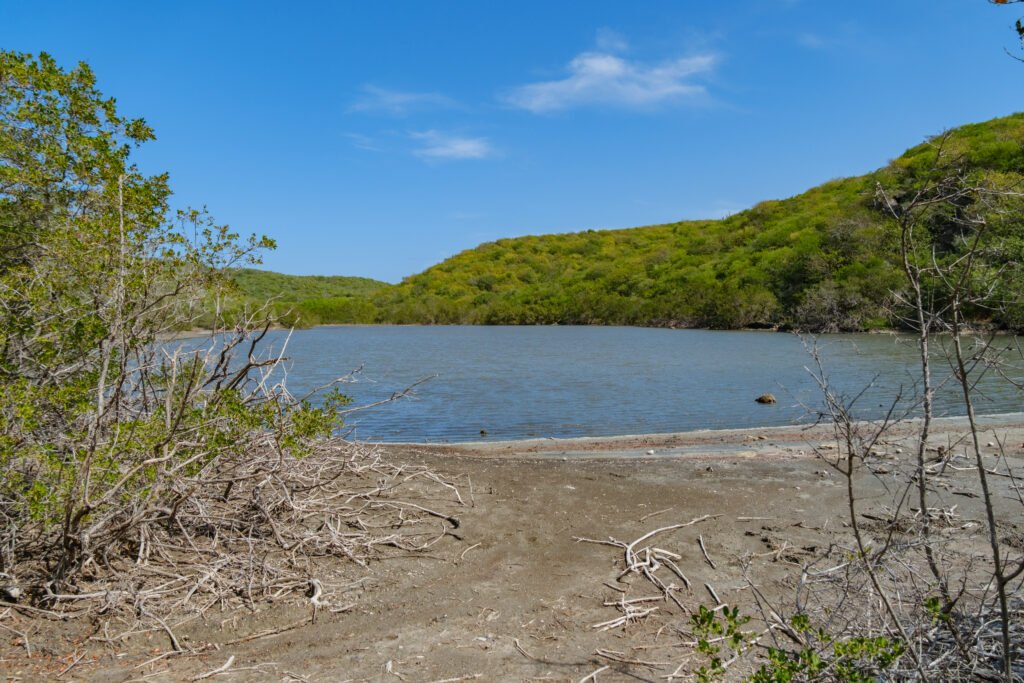 260110-DerekOlbino48